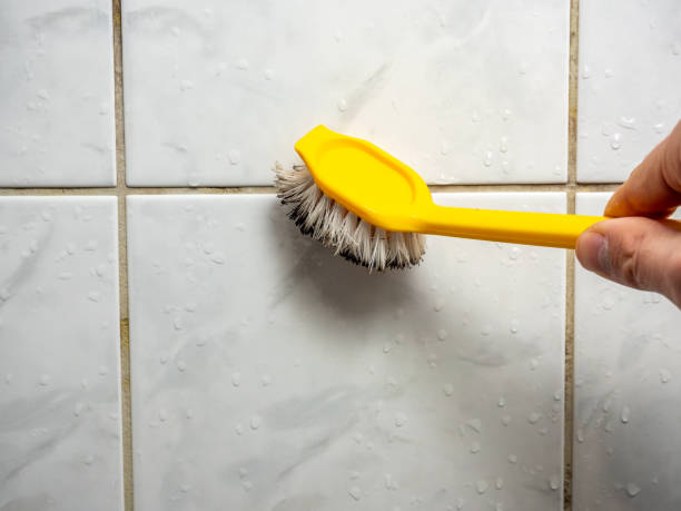 Mold Removal Process in Benson, NC