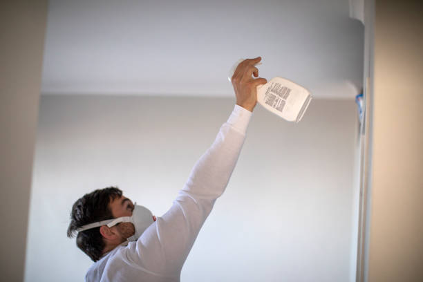 Best Fast Mold Removal  in Benson, NC