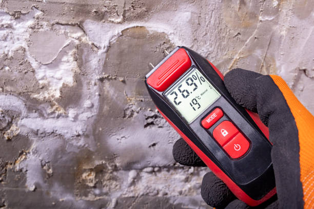 Best Attic Mold Removal  in Benson, NC