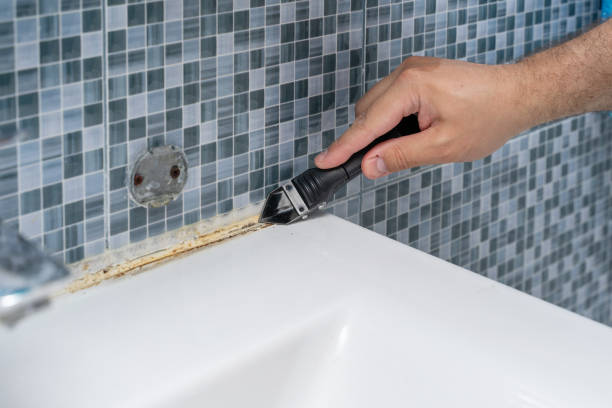  Benson, NC Mold Removal Pros