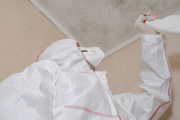 Best Office Mold Removal Services  in Benson, NC