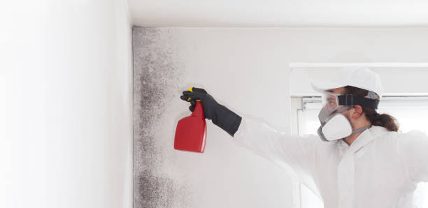 Best Mold Testing  in Benson, NC